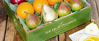Fruit-Company-opt