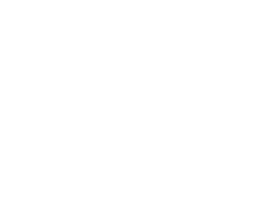 V33-logo-white