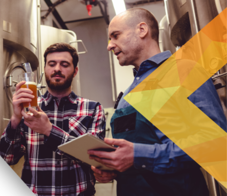 Brutos Video LP Updates Dec2024 - TYP Image-1