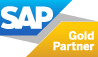 Vision33 is an SAP Gold partner