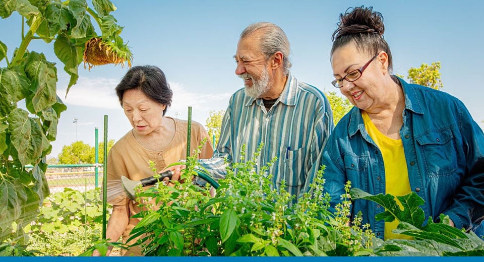 V33 Sage Blog - Cloud for Community Development Non-Profits - Header