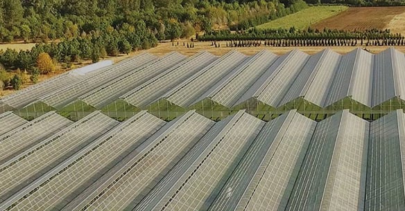 Customer success story - Fall Creek