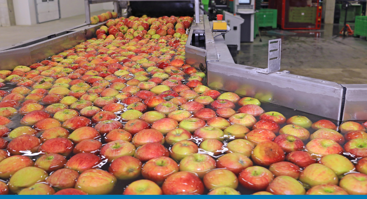 Food and Beverage Cloud ERP