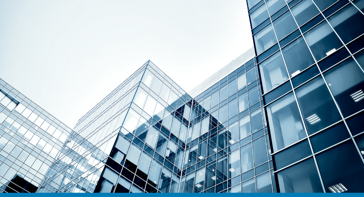 Vision33 SAP Cloud ERP Partner