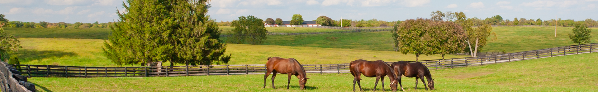 Photo for company Chelford Farm Supplies