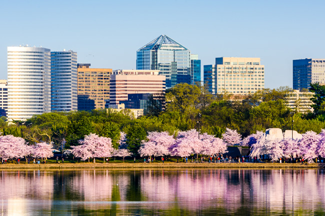 SAP Business One and Sage Intacct Partner in Washington, DC